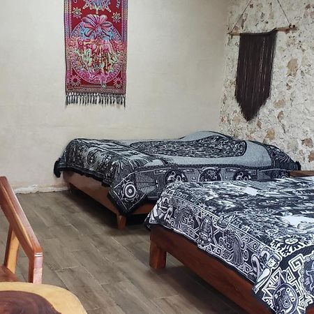 Casa Los Jarochos バリャドリッド エクステリア 写真