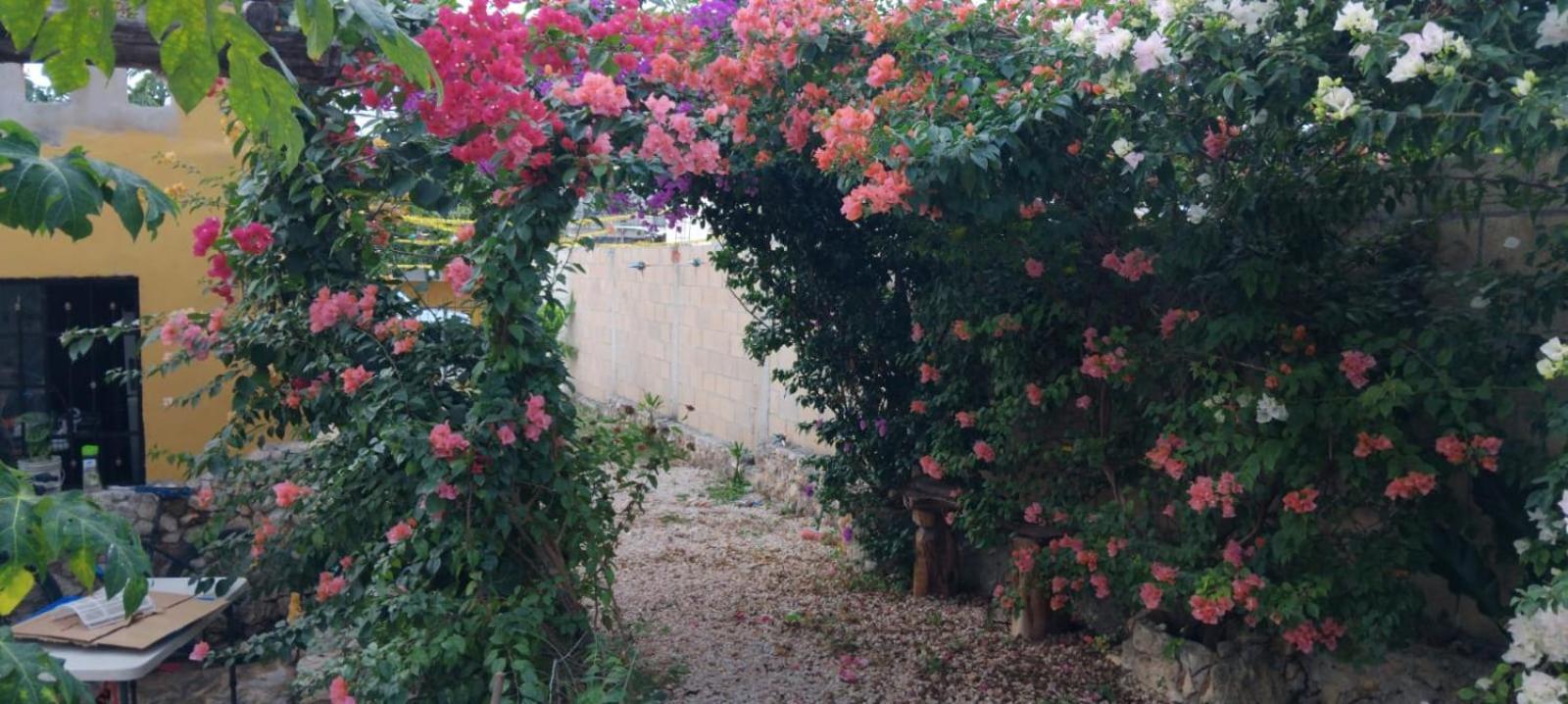 Casa Los Jarochos バリャドリッド エクステリア 写真