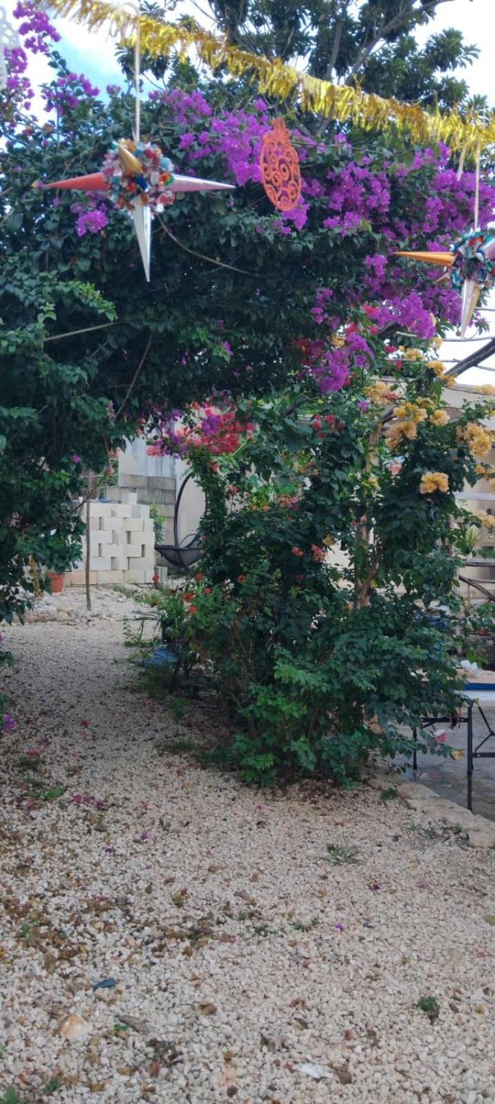 Casa Los Jarochos バリャドリッド エクステリア 写真
